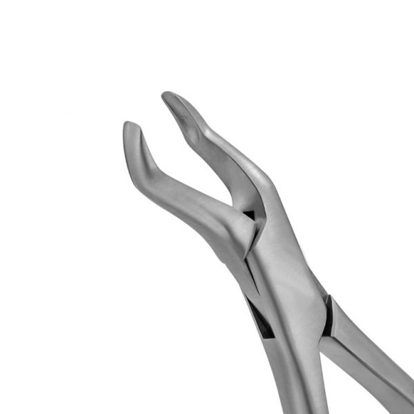 10H Universal Extraction Forceps